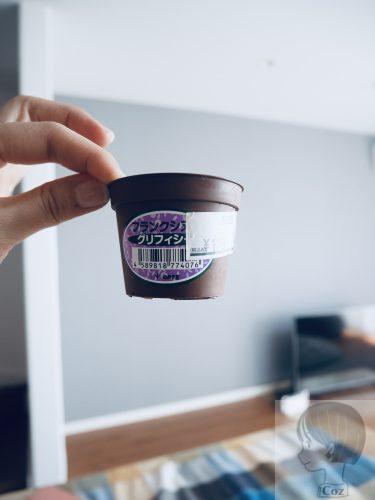 カインズで購入したグリフィシーの鉢