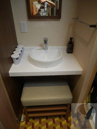 さんふらわあ、くれない、むらさき、プライベートシリーズのベッドグループ個室内の洗面台