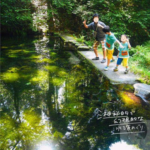 熊本　池山水源　幻想的な水面