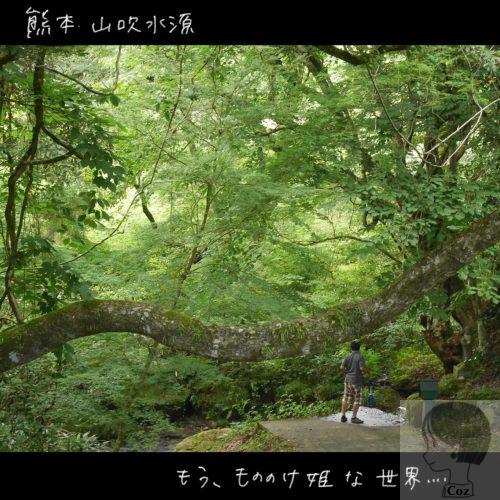 熊本　山吹水源で水を汲む　もののけ姫の世界のような風景