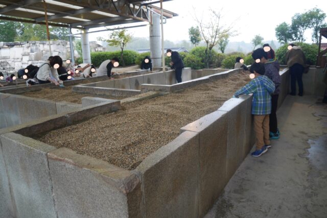 岐阜の博石館の宝石探し体験をしている様子