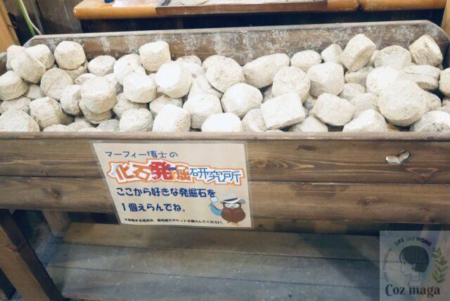 岐阜博石館の鉱山体験館内にある化石発掘で使う発掘石がたくさん入った木箱