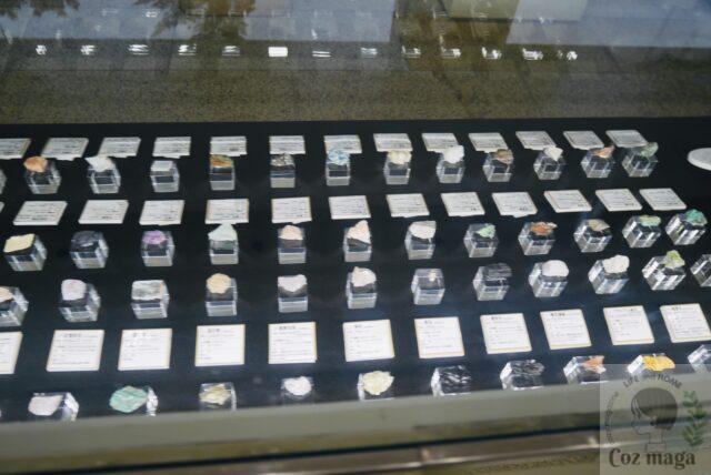 鉱物展示館（本館）の展示ケースにたくさんの石とキャプションが並んでいる。