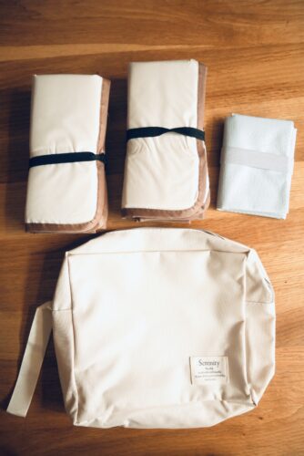 セリアで揃えたディズニーランドパレード待ち用グッズ