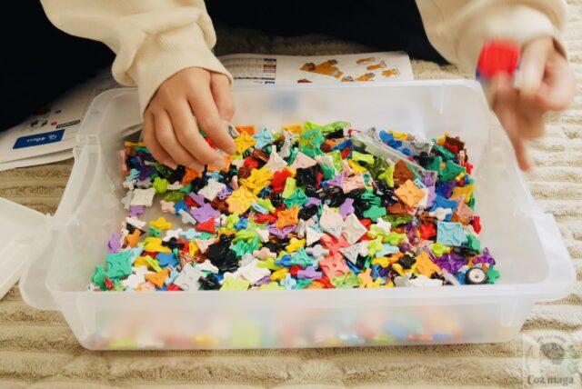 LaQのボーナスセットの専用ケース