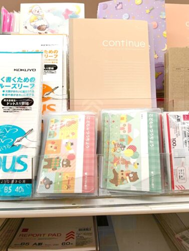 ダイソー　お小遣い帳