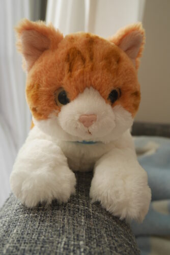 サンレモンひざねこのぬいぐるみのハチワレ茶色