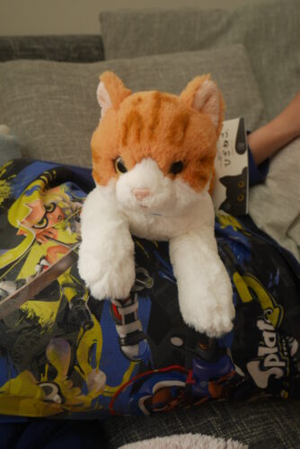 ひざ猫をお腹に載せている